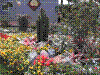 flower show2004 050.jpg